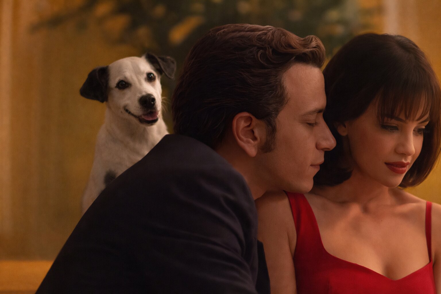 Masumiyet Müzesi… Kaza mı? Cinayet mi? İntihar mı?